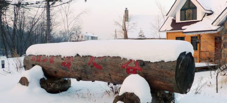 汤原释心谷森林庄园图片