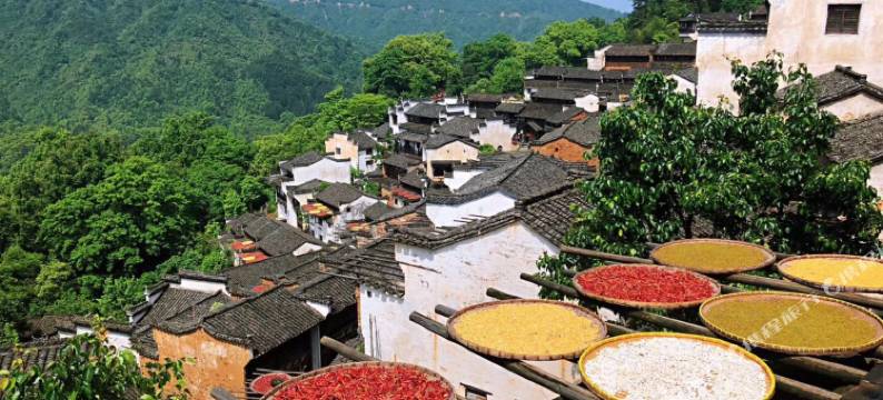 婺源迷雾国际青年旅社图片