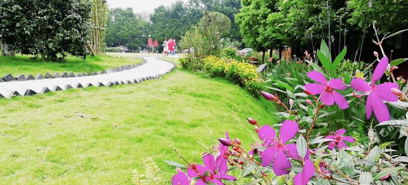 成都民宿连锁(新合路分店)图片