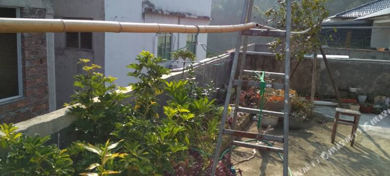 三百山温泉民宿(新三段分店)图片