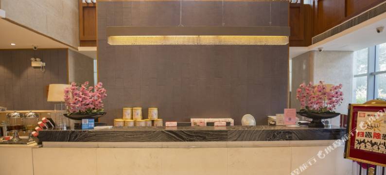 宜临国际大酒店(合肥合作化路店)图片