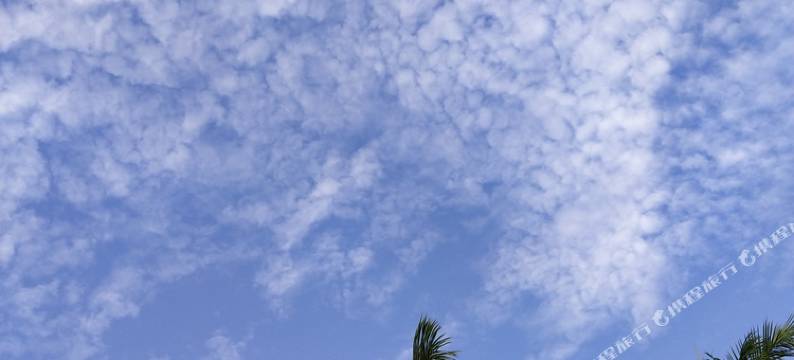 黄姚田田客栈图片