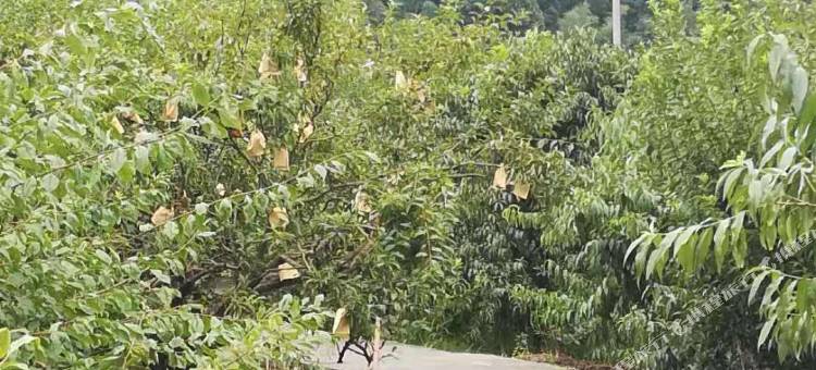 乐昌豪庭大酒店图片