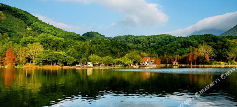 铂纳斯国际酒店(深圳莲塘地铁站店)图片