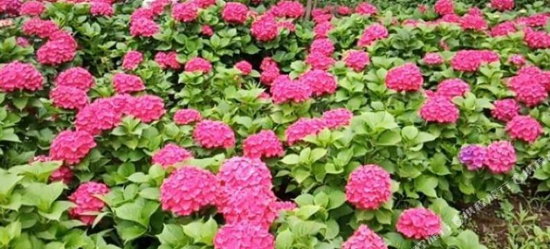 水富佳怡客栈(邵女坪店)图片