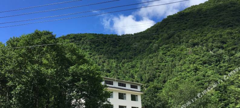 青川观林客栈图片