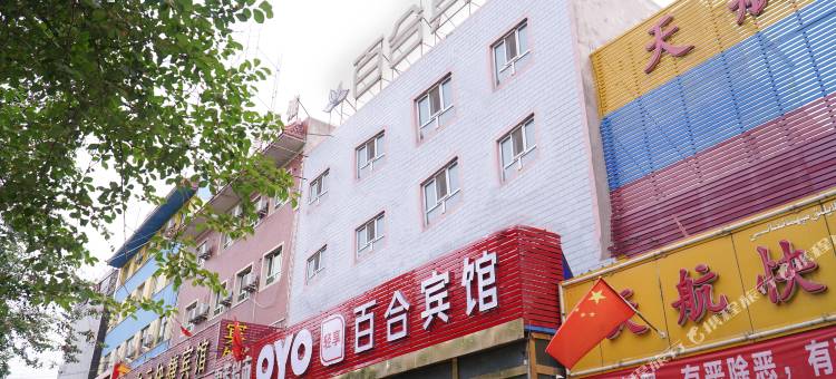 OYO乌鲁木齐百合宾馆(国际机场店)图片
