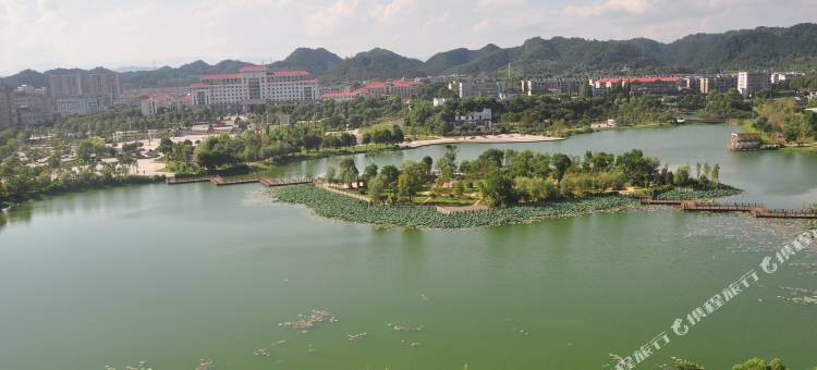 宜丰帝欧凯金钻大酒店图片