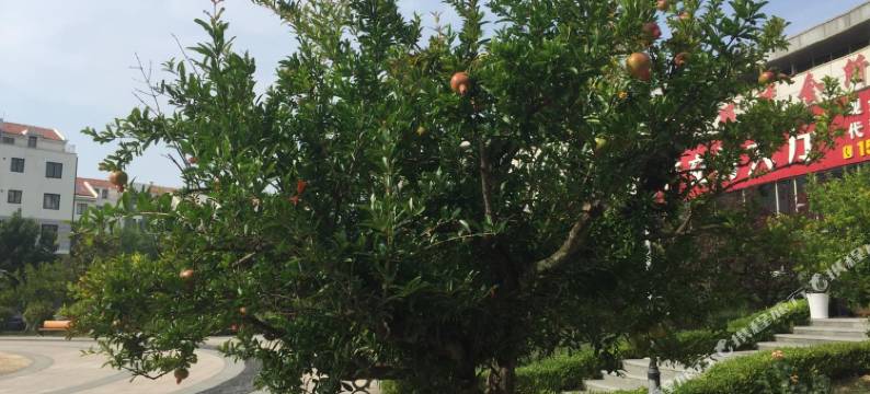 乳山银滩民宿图片