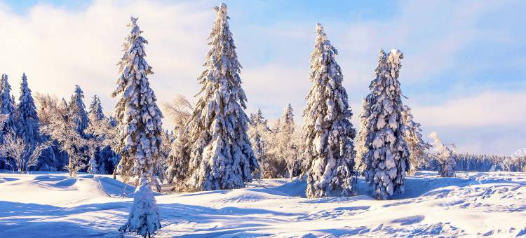 和龙老里克湖轻奢民宿图片