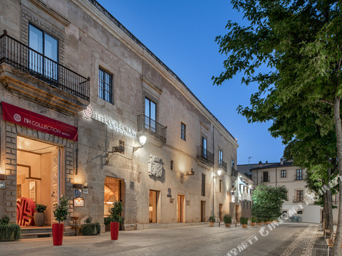 恩尔茨奥克多宫殿酒店