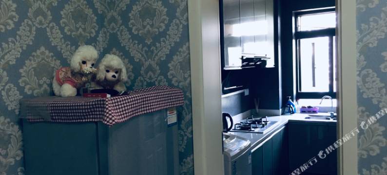 泸州瘟疫期间暂时停业公寓图片