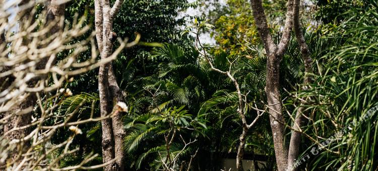 安缦努沙杜瓦别墅(Aman Villas at Nusa Dua)图片