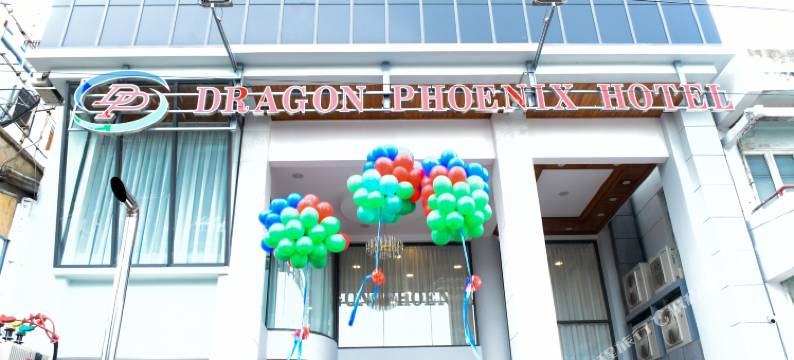 龙凤酒店(Dragon Phoenix Hotel)图片