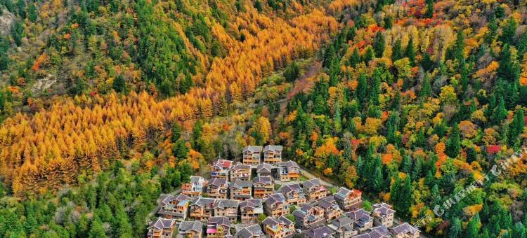 黑水羊茸·哈德精品民宿图片