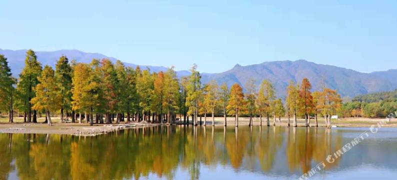 宏村花间墨堂客栈图片