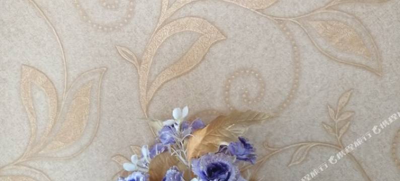 暗里着迷公寓(前兴路分店)图片