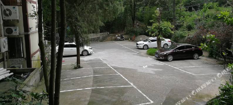 广元森林花院大酒店图片