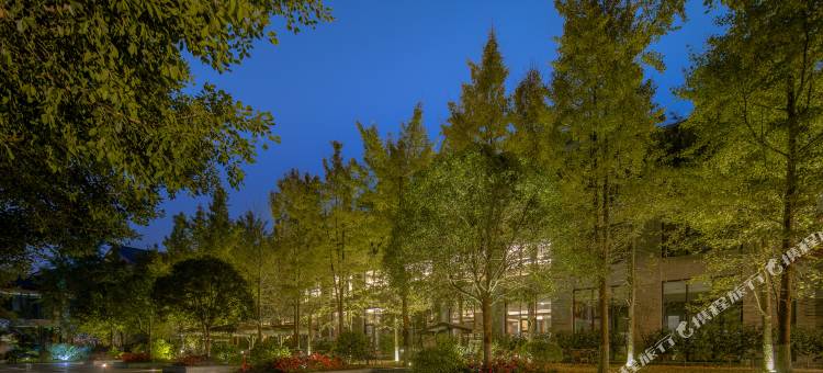 阆中锦元张飞国际酒店图片