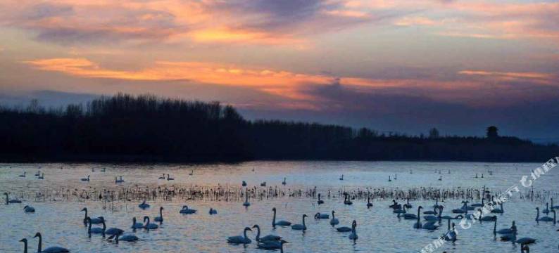 海联水世界酒店(三门峡万达广场店)图片