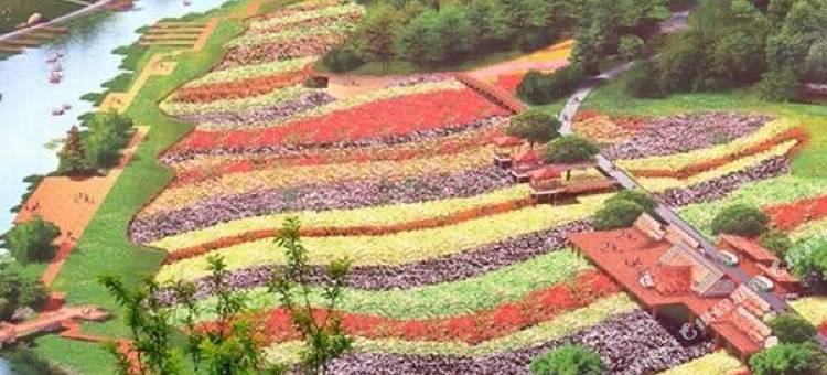 派酒店(泸州江阳区警校店)图片