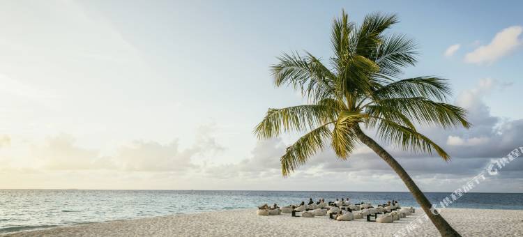 马尔代夫罗宾逊 - 限成人- 全包式(Robinson Maldives - All Inclusive, Adults Only)图片