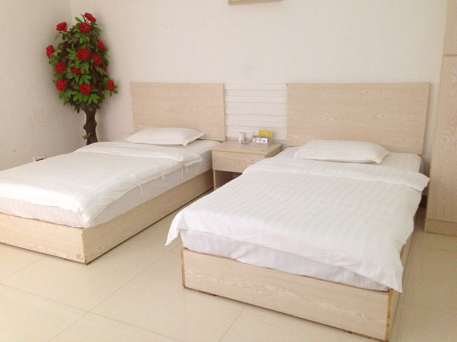 Tongcheng Qingxiu Hotel Over view