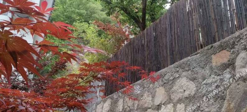 天池山天润居图片