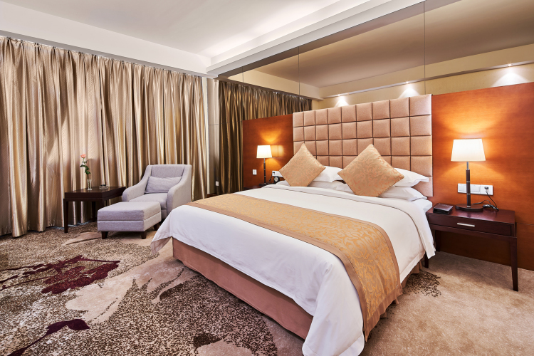 Daisi International Hotel NanjingHotel Overview