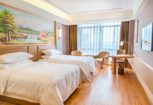 Vienna Hotel (Luchuan High-speed Railway Station) Hotel Overview