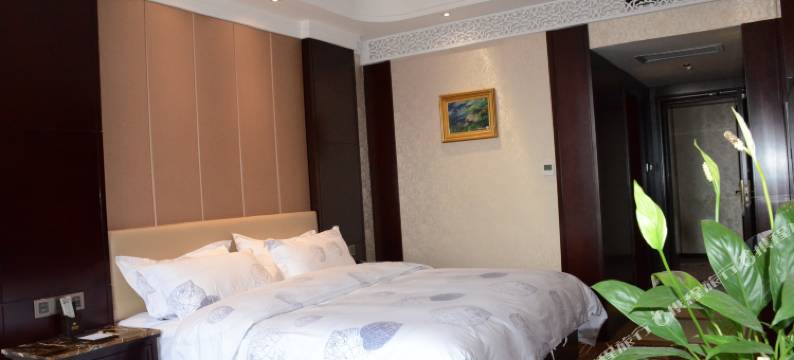 娄底新化鸿宇大酒店图片