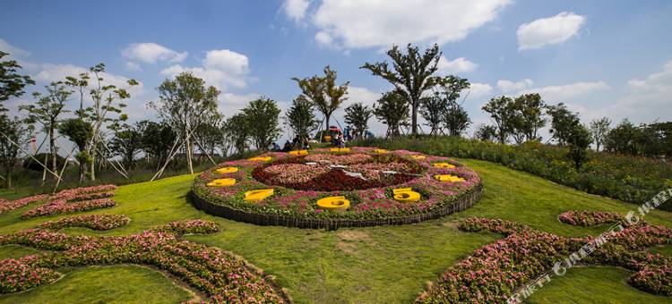 上海迪康亘缘酒店图片