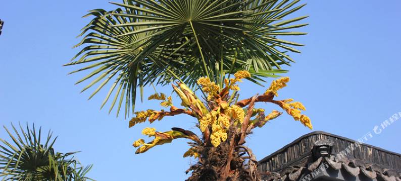 苏州醉·白沙民宿图片