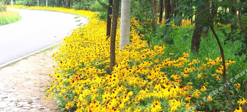 北京晨曦小筑民俗客栈图片