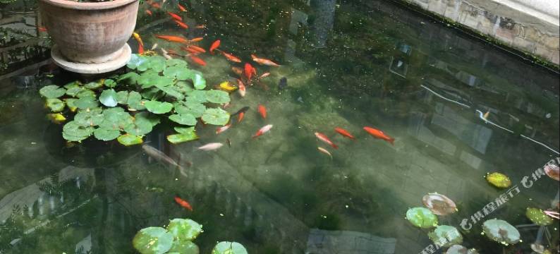 昆明聂美居住宿图片