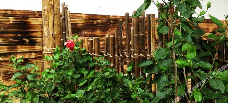 涠洲岛辣汉头小院图片