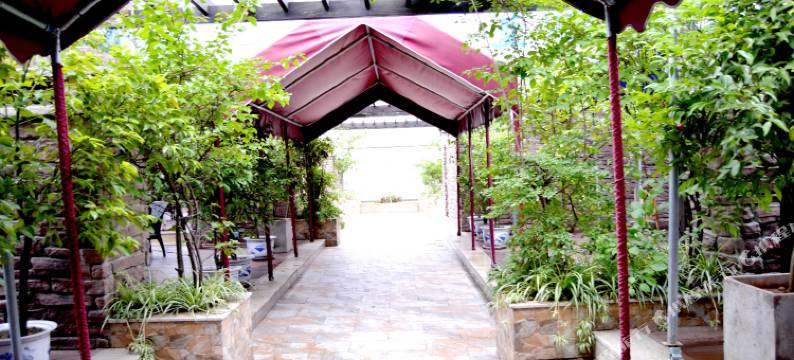 西充凯旋门大酒店图片