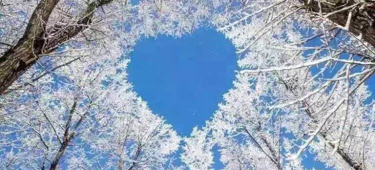 雪乡初雪.十间房图片