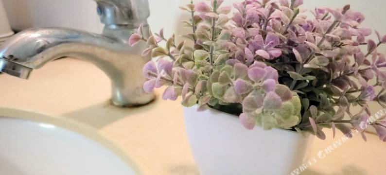 南澳海顺楼图片