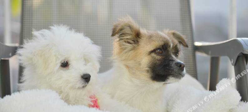 厦门情屋客栈图片