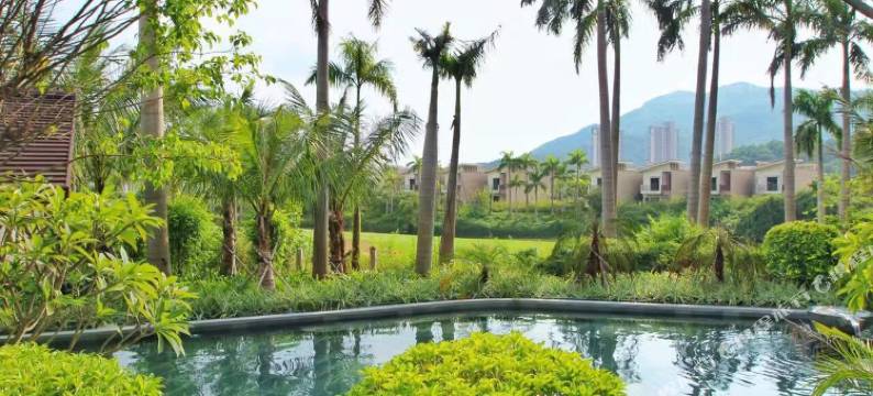 阳江保利.海上星座度假酒店图片