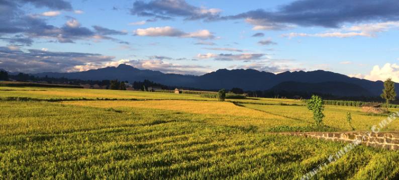 腾冲秋蝶园客栈图片