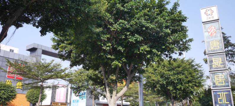 佛山艺柏城际酒店(沙岗地铁站店)图片