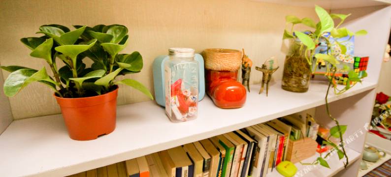 西安木西青年旅舍西安交通大学店图片