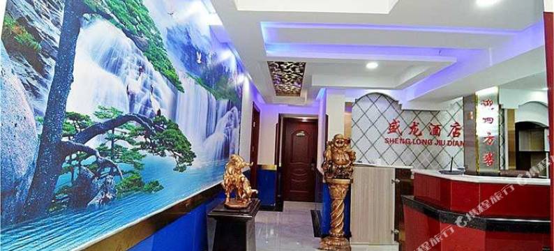 西安盛龙主题酒店图片