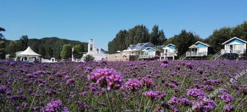 北京紫海香堤香恋小木屋民宿图片