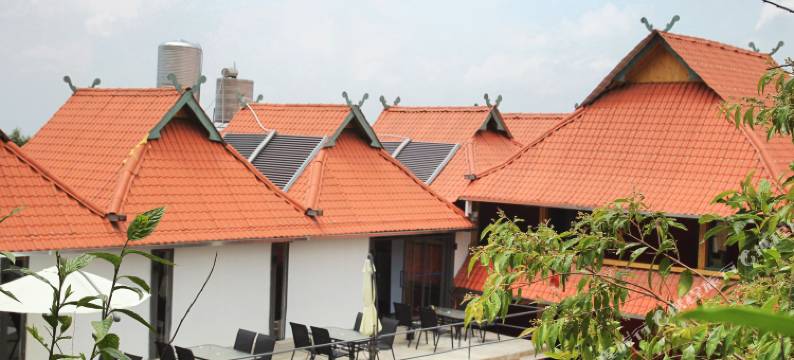 勐海龙巴庄园图片