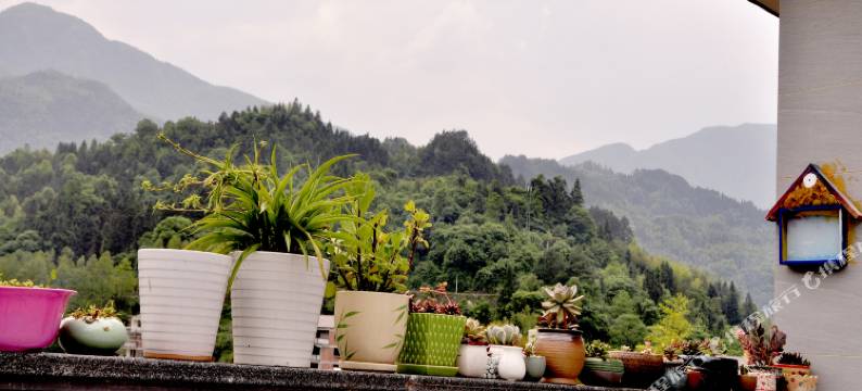 闲来居民宿(云和梯田景区店)图片