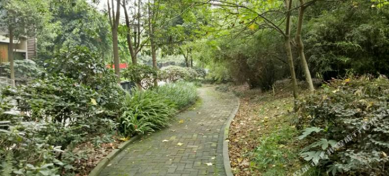 成都海天公寓图片