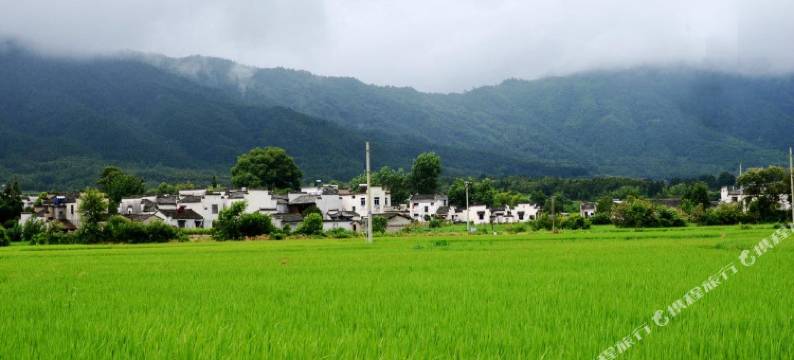 宏村缘田小筑图片